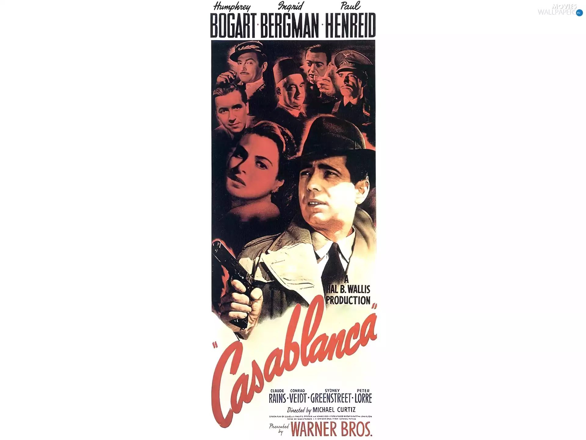 Gun, Casablanca, cover