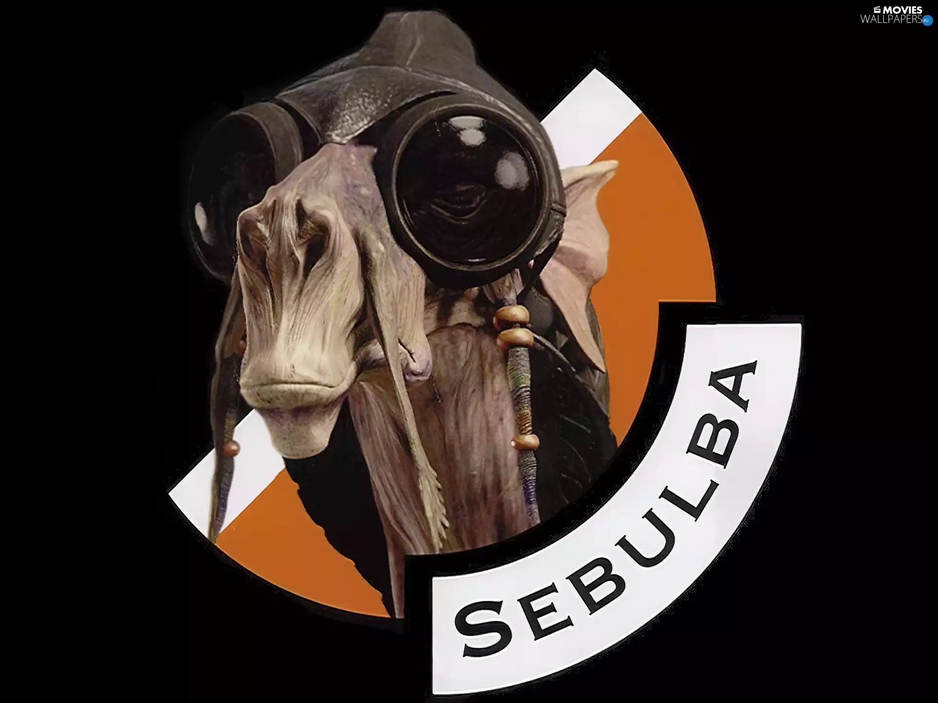 Hat, Pilot, Camel, Head, Star Wars