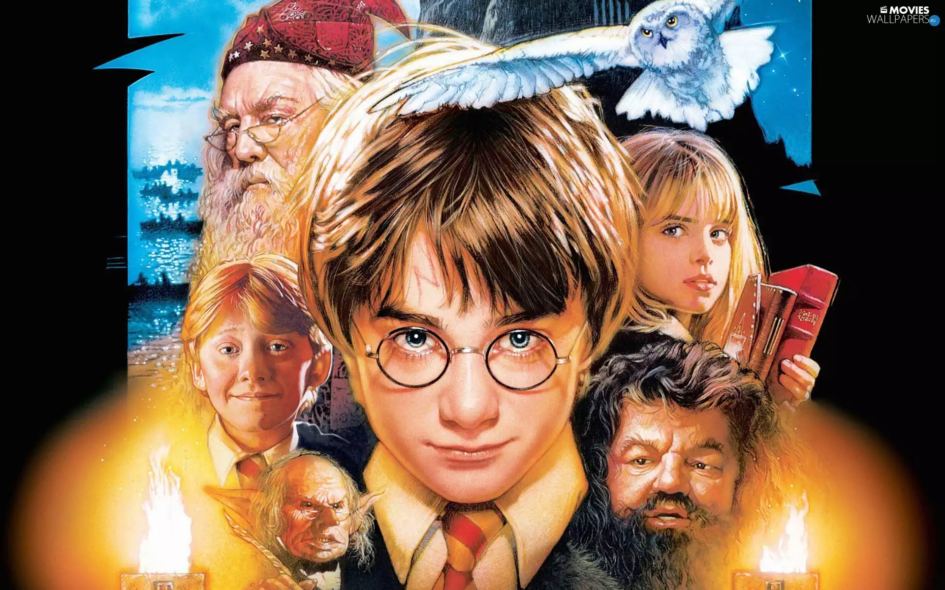 Heroes, Harry, Potter