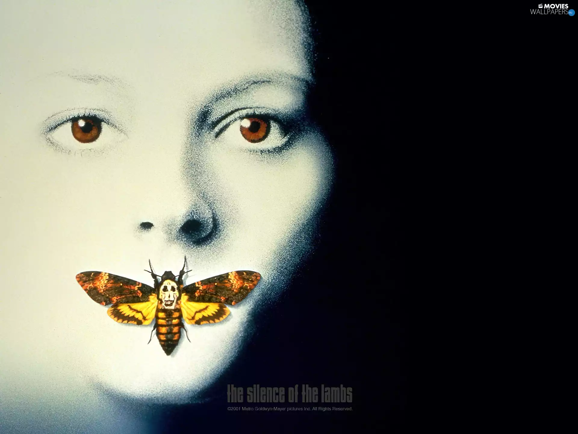 Insect, butterfly, face, Eyes, the silence of the lumbs