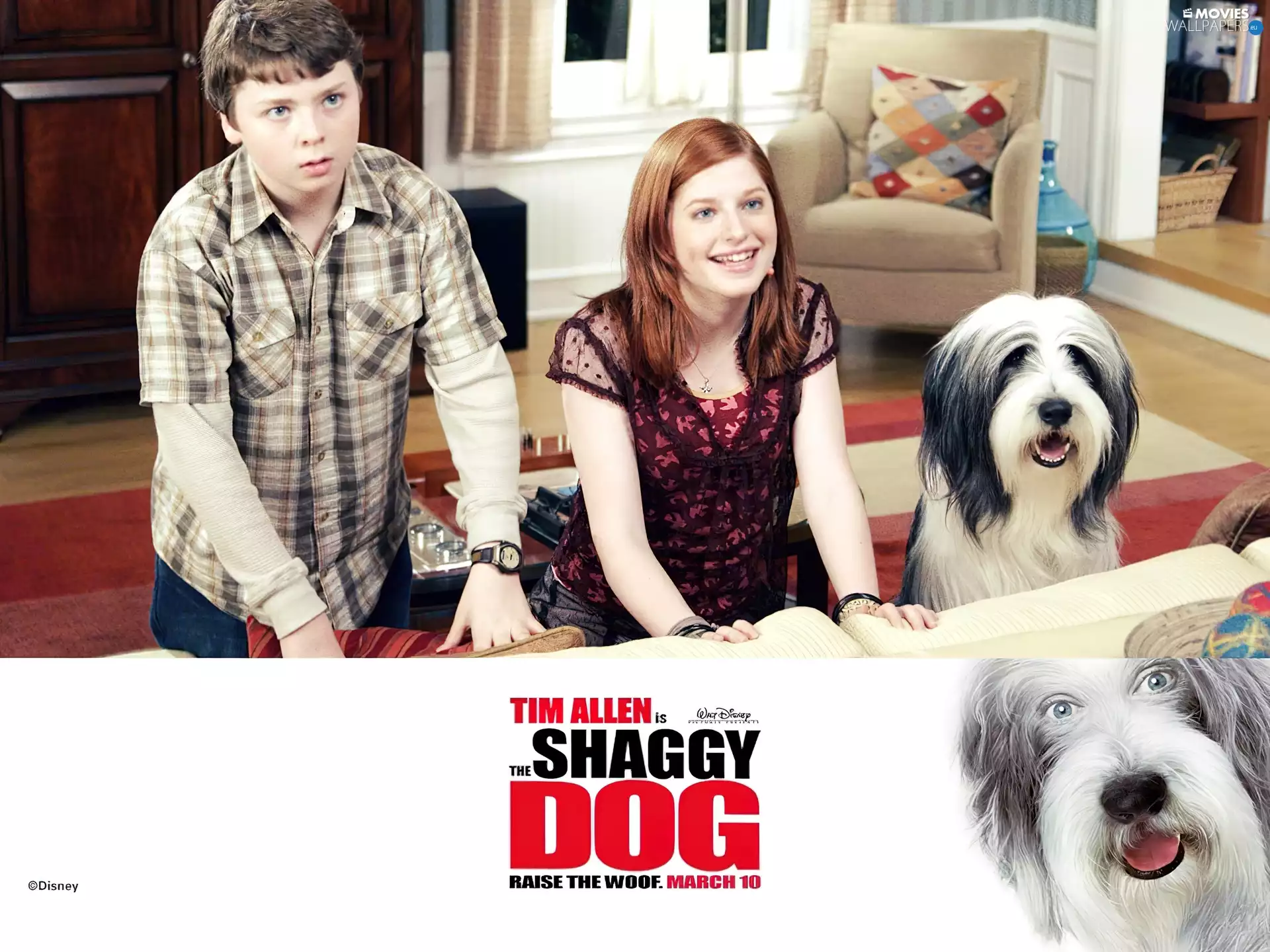 The Shaggy Dog, Kids, Room, dog
