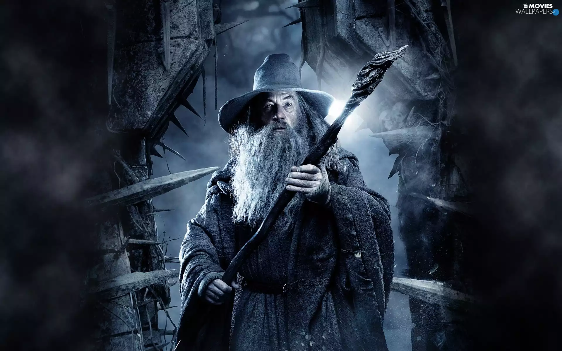 Hobbit, Gandalf, Ian McKellen, Smaug desolation