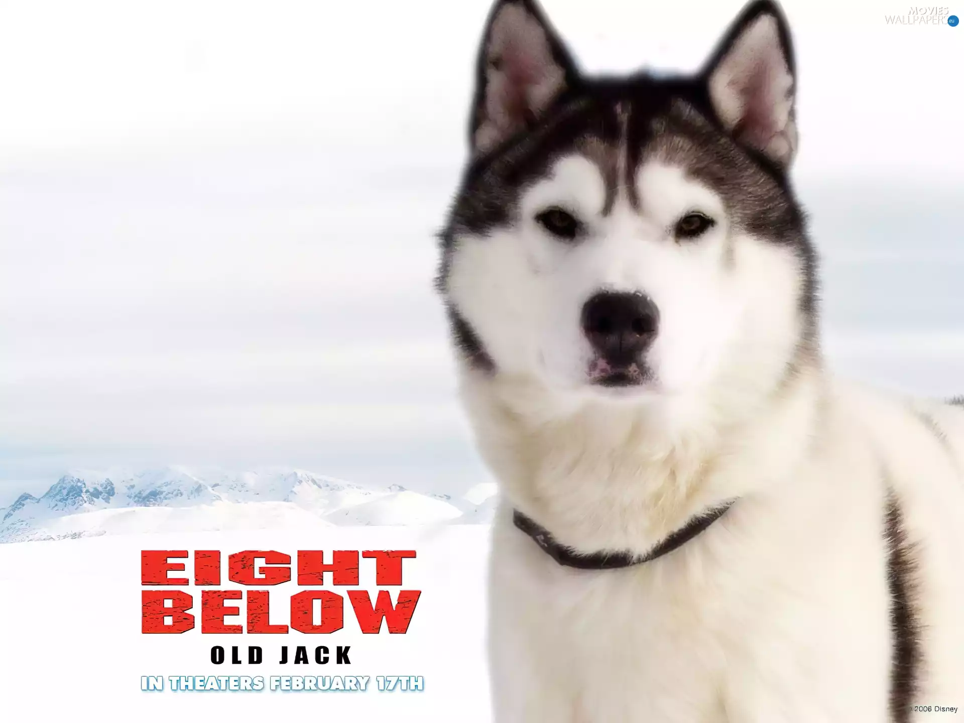 Eight Below, dog, Mountains