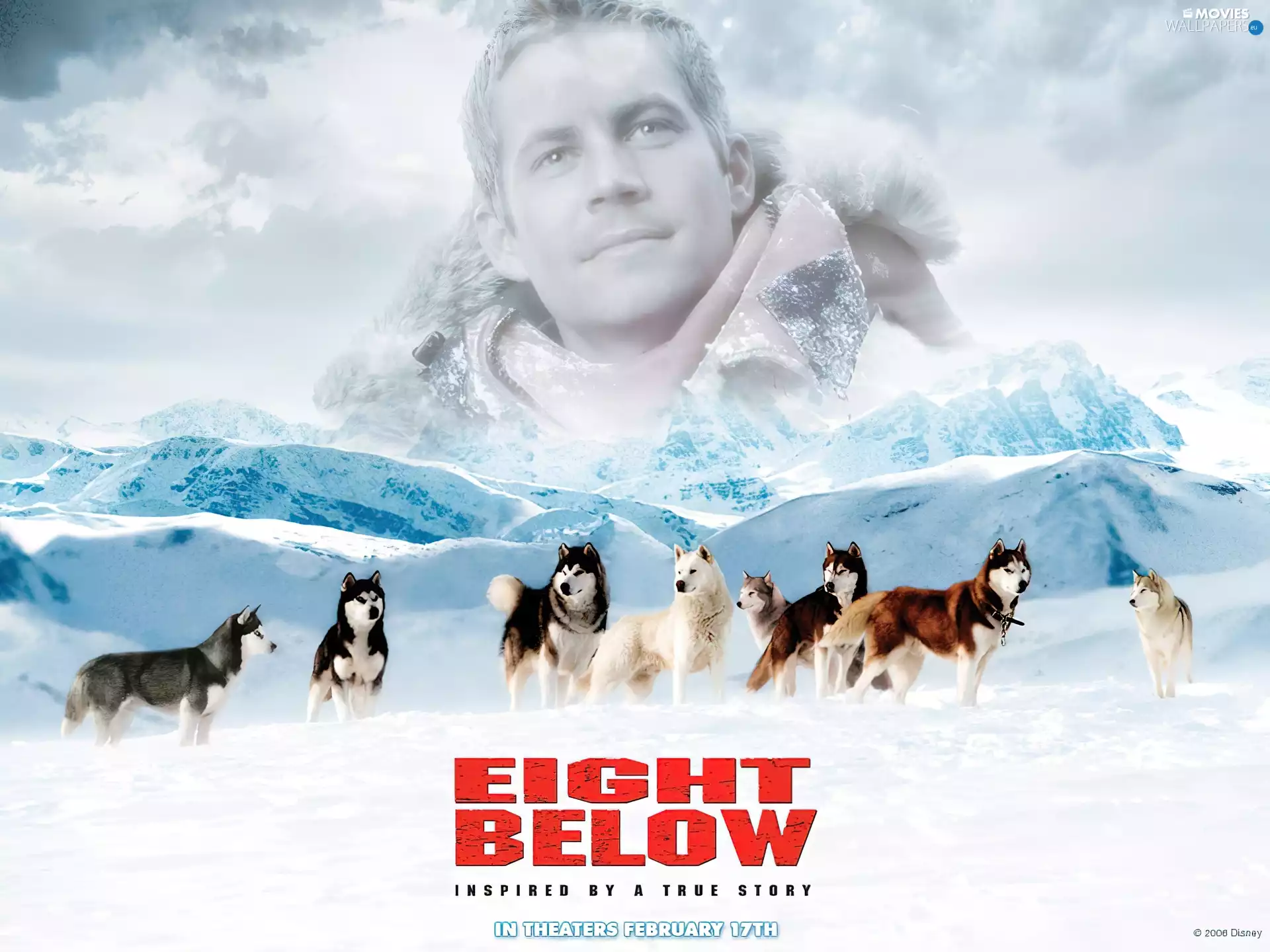 Dogs, Eight Below, Paul Walker, Mountains