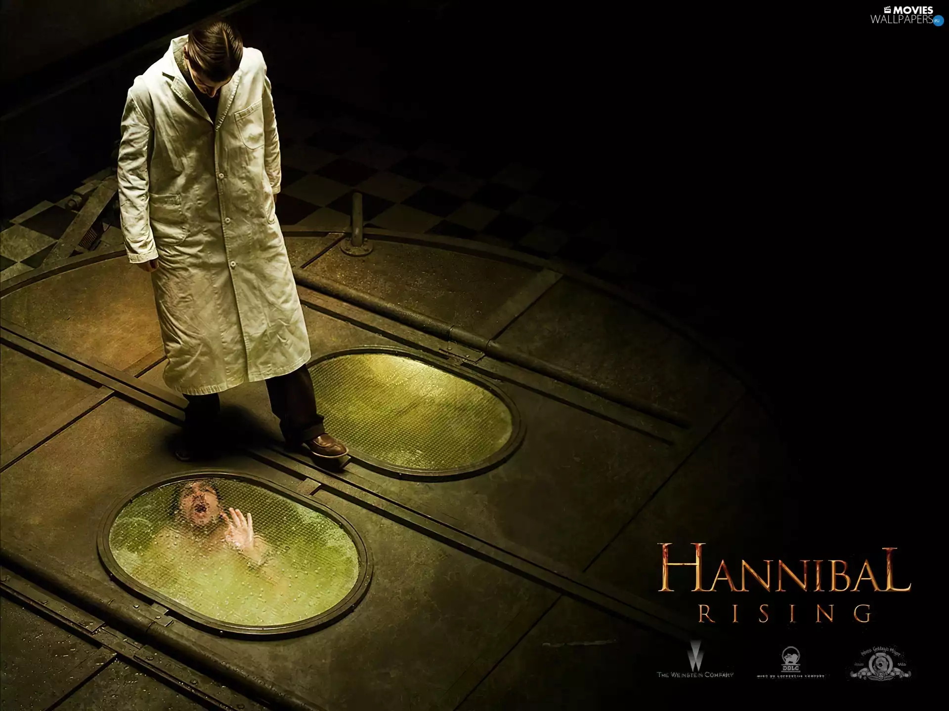 Hannibal Rising, White, apron, horror
