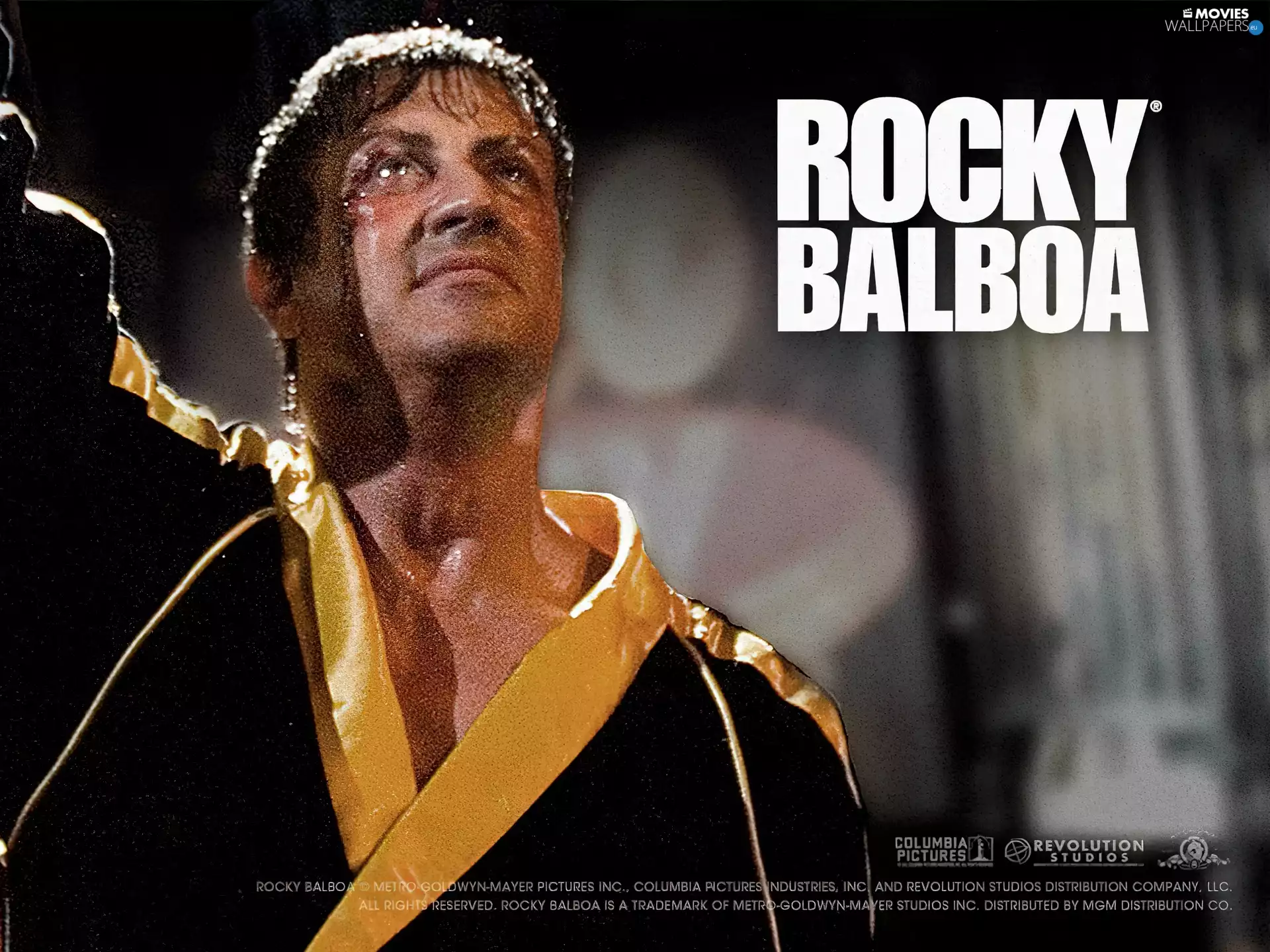 bathrobe, Rocky Balboa, Sylvester Stallone