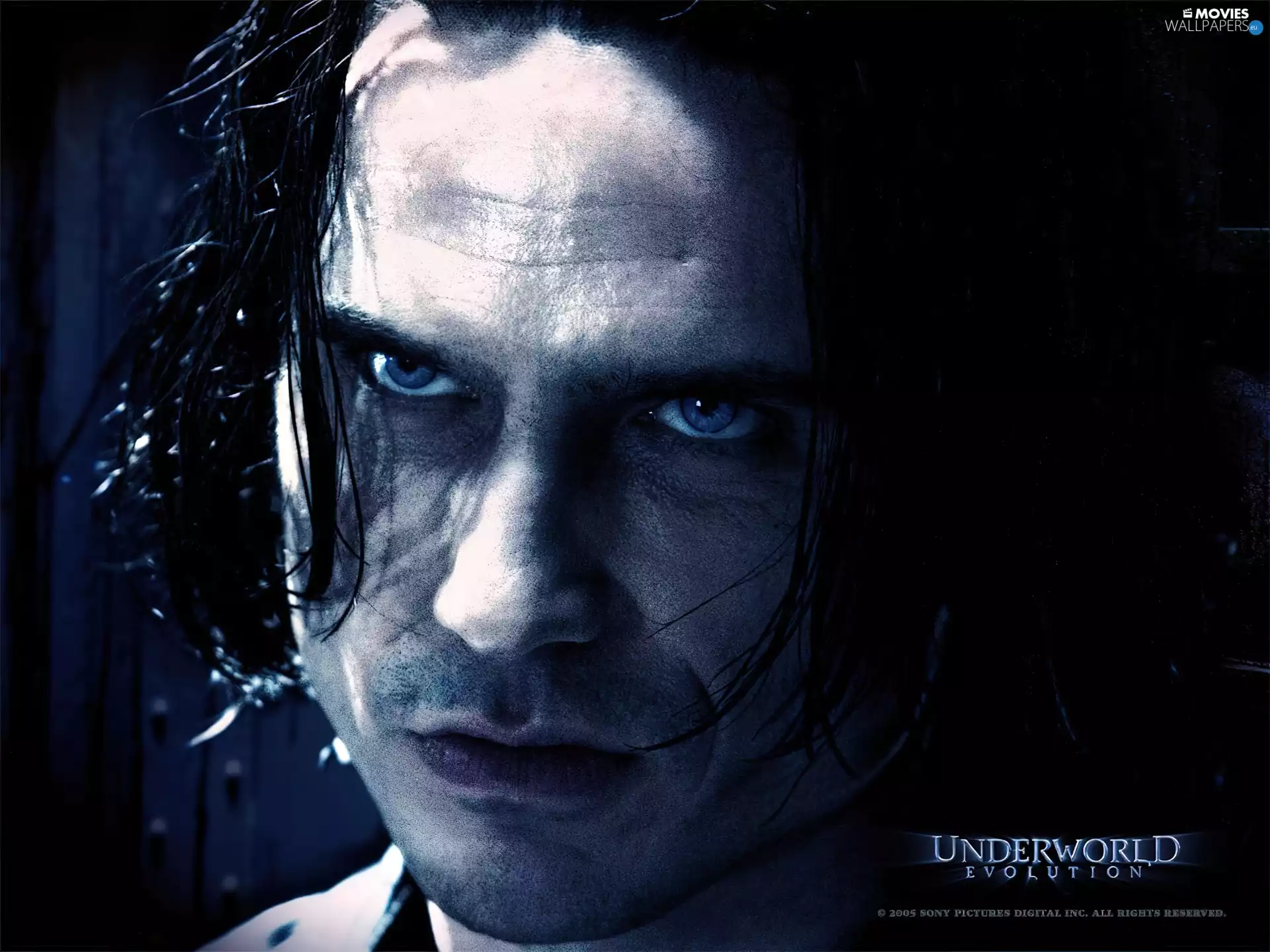 Scott Speedman, Underworld