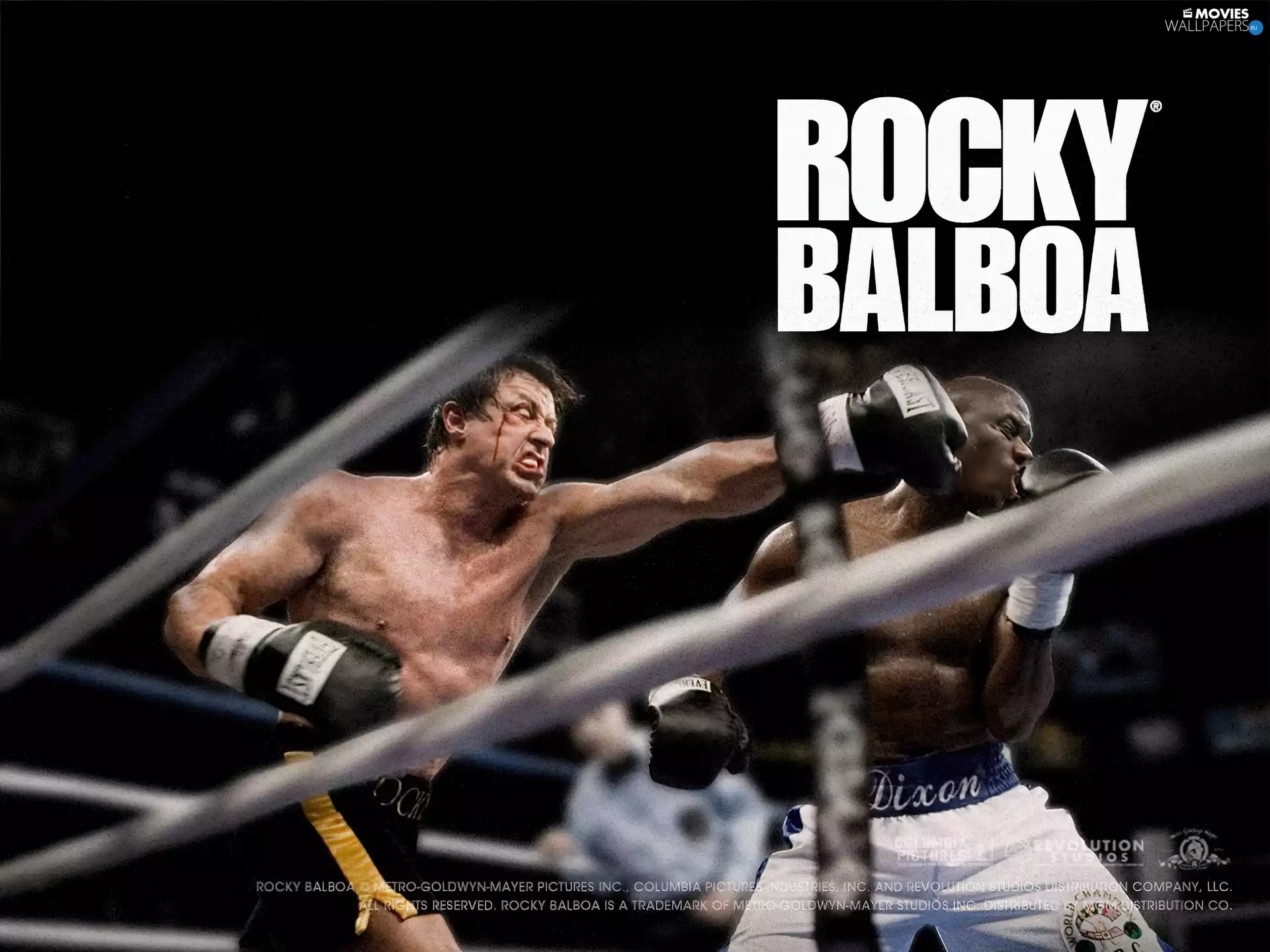 Ring, Rocky Balboa, Sylvester Stallone, boxing