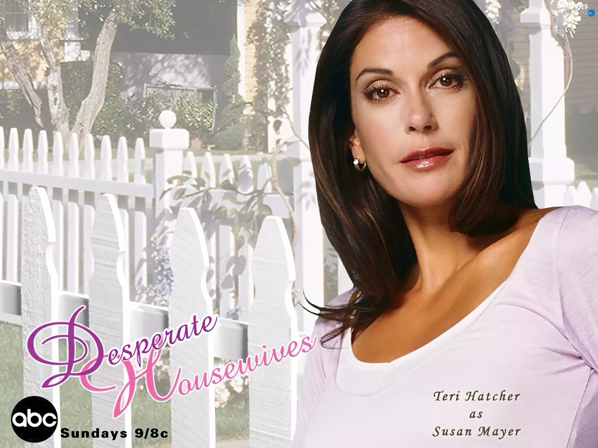 Desperate Housewives, Fance, text, Teri Hatcher