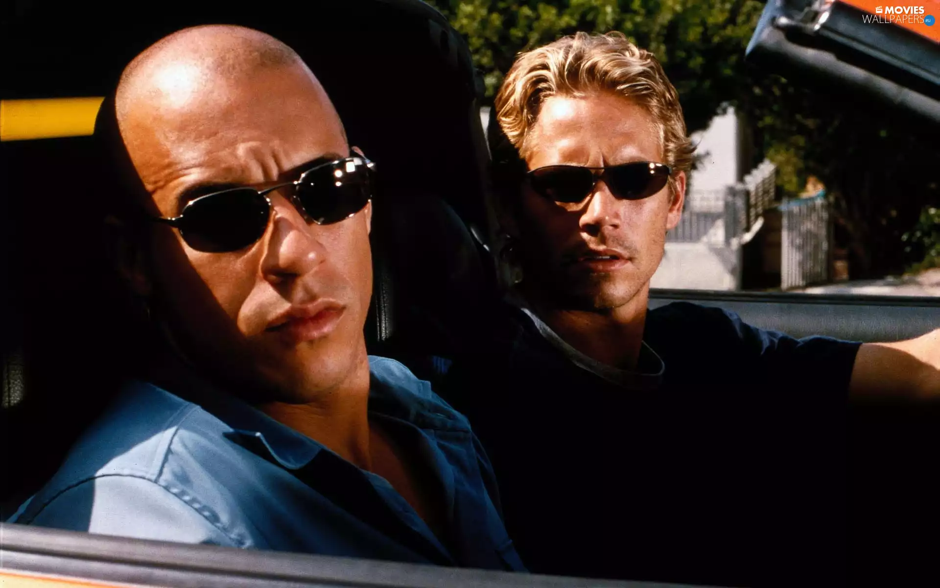 The Fast and the Furious, Paul Walker, Actors, Vin Diesel