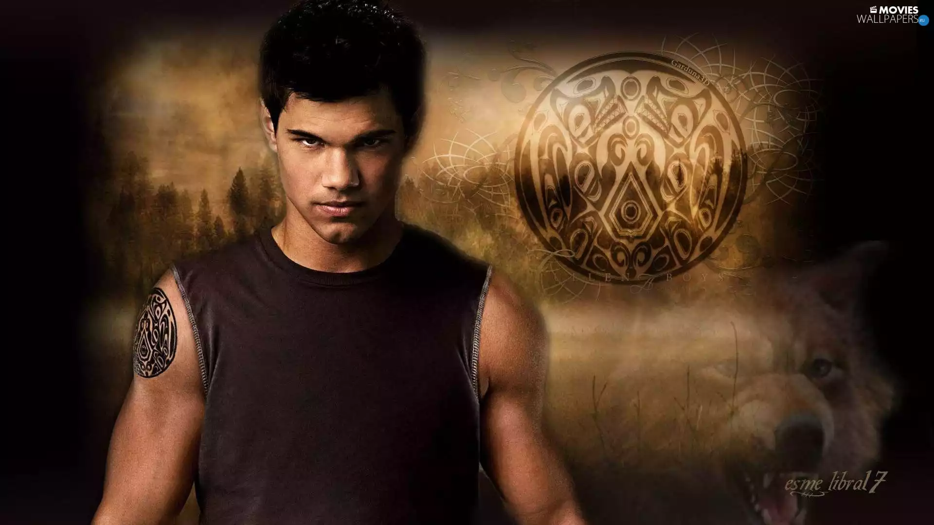 black, twilight, Lautner, Jacob, Taylor