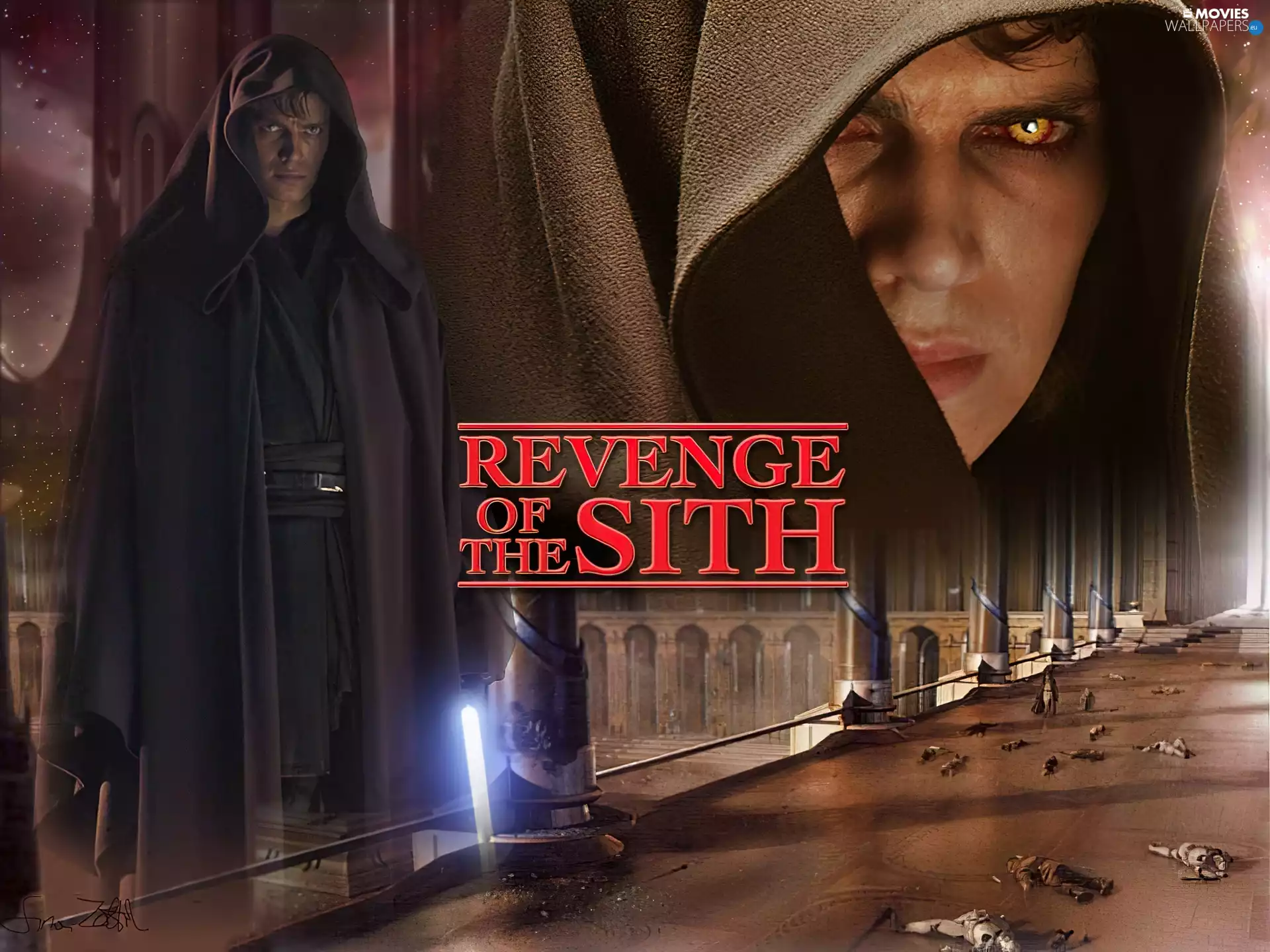 Star Wars, House, victims, Hayden Christensen