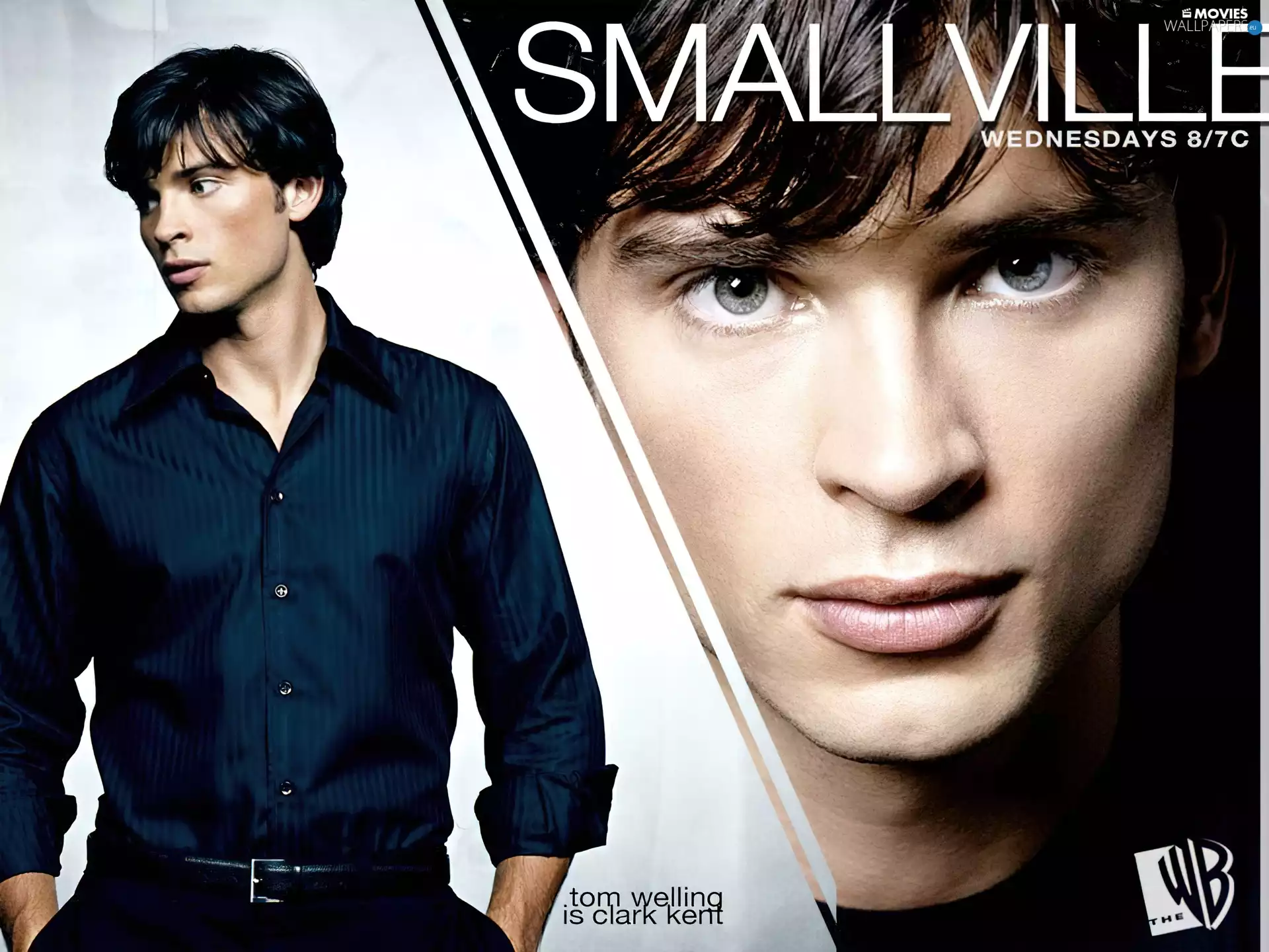 shirt, Elegant, Tom Welling, face, Tajemnice Smallville