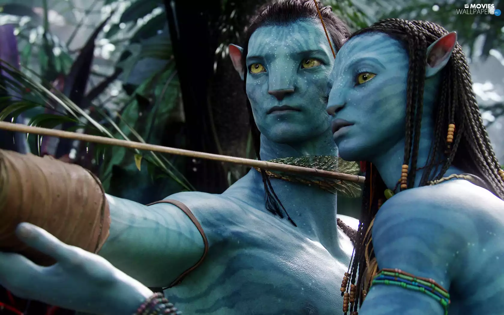 a man, Avatar, Women