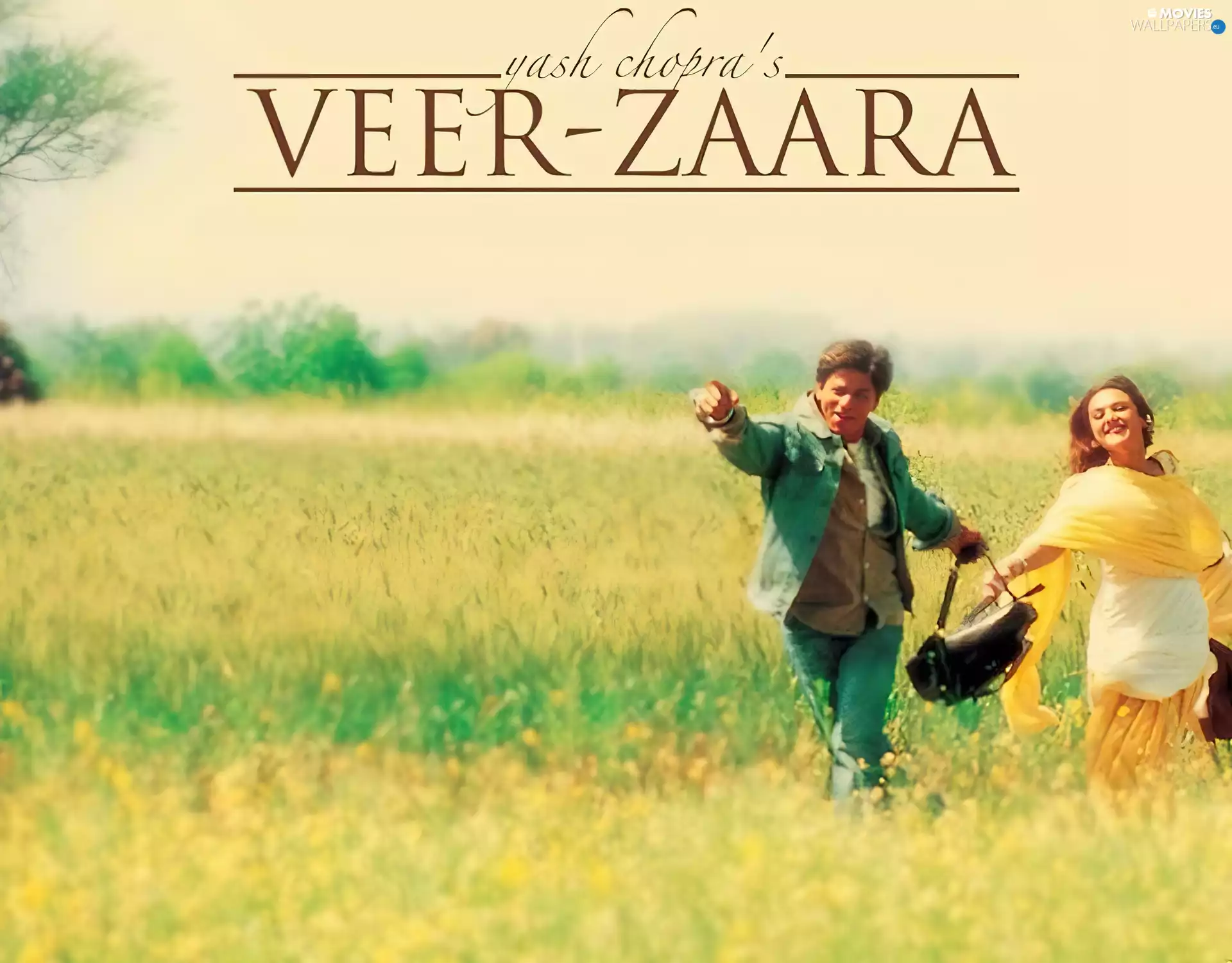 Veer Zaara, Flowers, Steam, Meadow